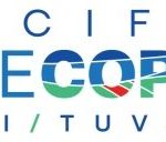 Fiji says preparations on track for Pre-COP31 Meeting