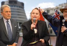 Calls growing to sack Winston Peters after his ‘go back to your own country’ remarks to NZ MP