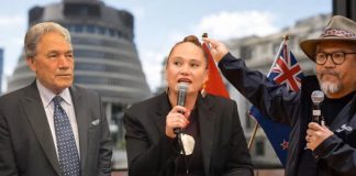 Calls growing to sack Winston Peters after his ‘go back to your own country’ remarks to NZ MP