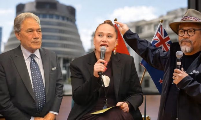Calls growing to sack Winston Peters after his ‘go back to your own country’ remarks to NZ MP