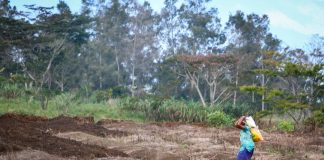 On another scale’: PNG province unprepared for El Niño impacts, governor warns