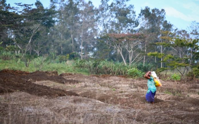 On another scale’: PNG province unprepared for El Niño impacts, governor warns