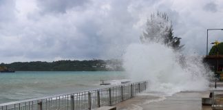 Pacific faces “fight for our lives” from triple planetary crisis: SPREP DG