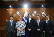 Japan-Pacific relations strengthened ahead of PALM11