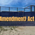 Naoero toughens laws on domestic violence and attacks on police
