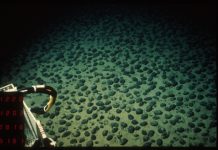 Deep-Sea Mining could begin in Pacific without agreed global rules