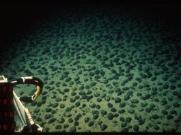 Deep-Sea Mining could begin in Pacific without agreed global rules
