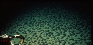 Deep-Sea Mining could begin in Pacific without agreed global rules
