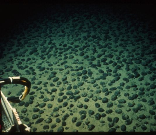 Deep-Sea Mining could begin in Pacific without agreed global rules