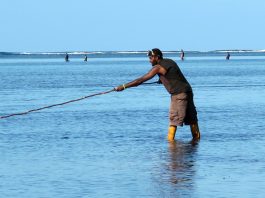 Fiji’s Commercial Use of Marine Areas Bill fails to restore Qoliqoli ownership: Rewa Chief