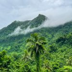 Scientists explore Samoa in support of nation’s trailblazing Plan, Already achieved to trotect 30 percent of its Ocean