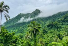 Scientists explore Samoa in support of nation’s trailblazing Plan, Already achieved to trotect 30 percent of its Ocean