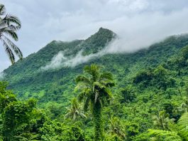 Scientists explore Samoa in support of nation’s trailblazing Plan, Already achieved to trotect 30 percent of its Ocean