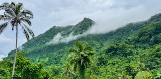 Scientists explore Samoa in support of nation’s trailblazing Plan, Already achieved to trotect 30 percent of its Ocean