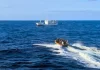 Operation Island Chief identifies 16 vessels of interest in major regional surveillance effort against illegal fishing
