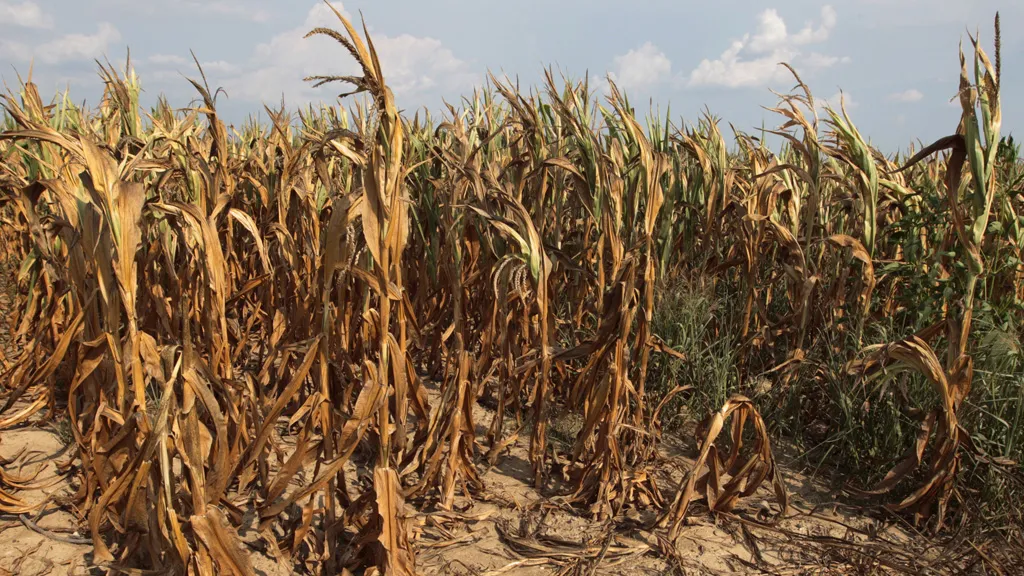farming-drought