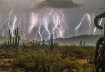 Strong El Niño ahead, UN weather agency warns