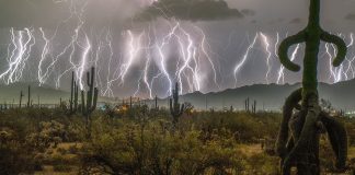 Strong El Niño ahead, UN weather agency warns