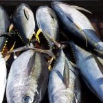 Helping Pacific fishers adapt to a changing ocean
