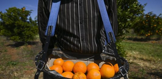 Survey supports a better deal for Pacific workers