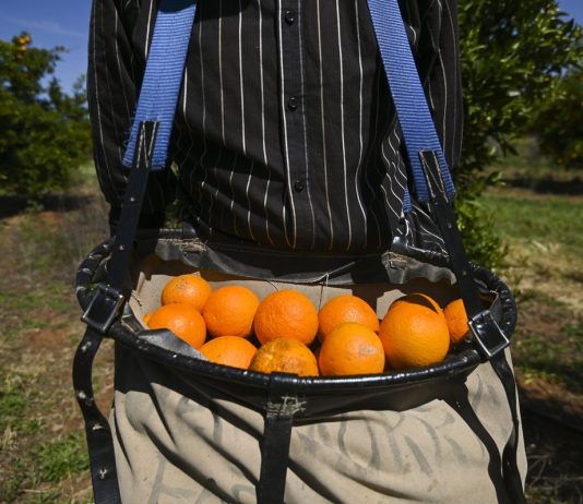 Survey supports a better deal for Pacific workers