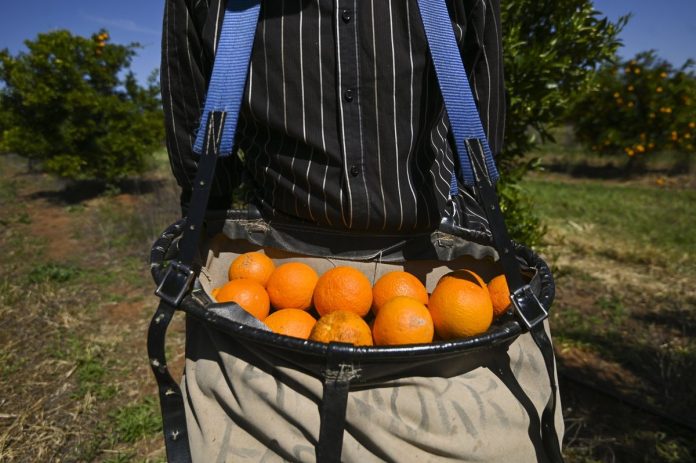 Survey supports a better deal for Pacific workers