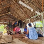 Creating pathways for Pacific climate solutions
