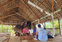 Creating pathways for Pacific climate solutions