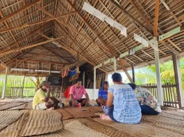 Creating pathways for Pacific climate solutions