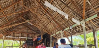 Creating pathways for Pacific climate solutions