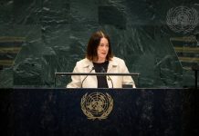 NZ urges next UN chief to take stronger role on conflicts