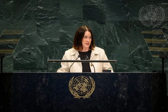 NZ urges next UN chief to take stronger role on conflicts