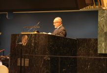 Solomon Islands PM Wale calls for UN rights chief to visit West Papua