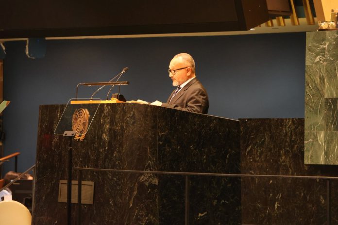 Solomon Islands PM Wale calls for UN rights chief to visit West Papua