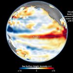 Pacific faces El Niño that could be the warmest since 1950