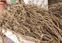 Forum Leaders endorse Kava declaration, fisheries fund review and regional labour ministers