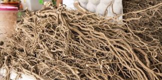 Forum Leaders endorse Kava declaration, fisheries fund review and regional labour ministers