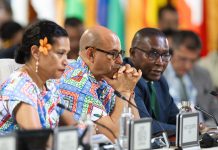 UN climate chief urges COP31 to turn climate promises into action