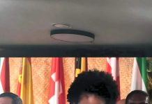 PSIDS have shown the way on climate finance: Barbados Economic Affairs Minister