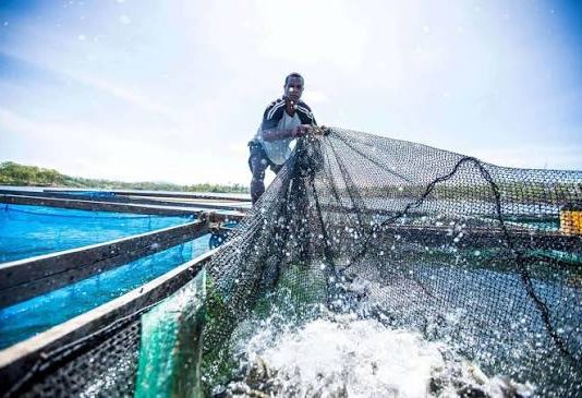 Beyond Conservation: What the High Seas Treaty Means for Ocean Governance and Security in the Blue Pacific