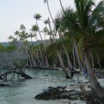 Connecting climate change and Pacific biodiversity at the CBD COP17