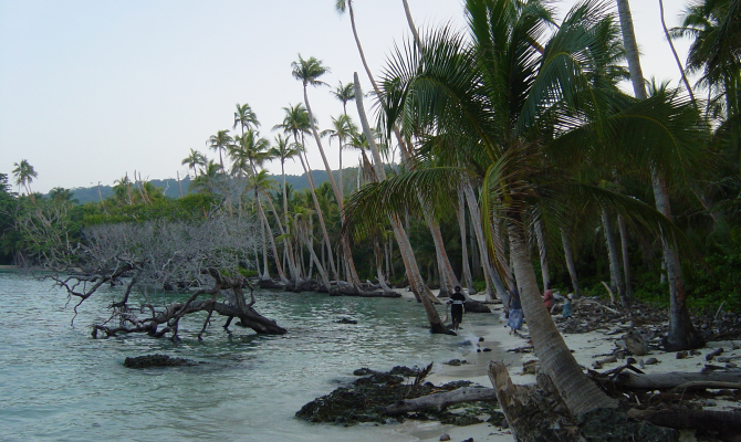Connecting climate change and Pacific biodiversity at the CBD COP17
