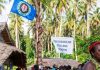 ‘Cut the umbilical cord’: Bougainville’s bid to break away from Papua New Guinea faces reckoning