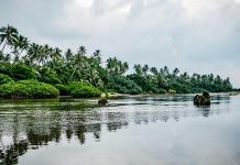 SPC climate programme records US$129.9 million in new funding approvals