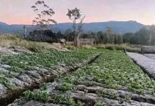 UN agencies appeal for help to protect weakest from unprecedented El Niño