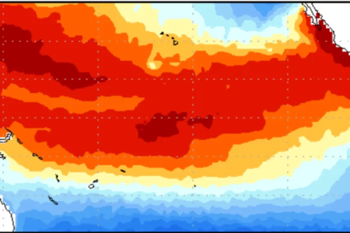 El Nino breaks Pacific temperature record as weather pattern intensifies