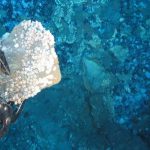 U.S takes final step to award first seabed mineral lease sale in American Samoa