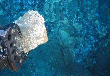 U.S takes final step to award first seabed mineral lease sale in American Samoa