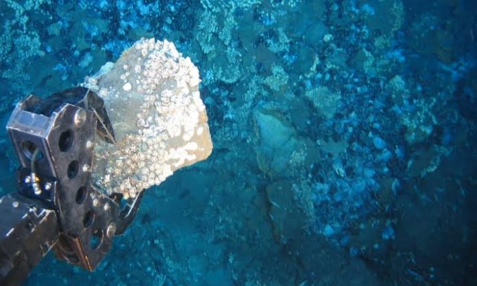U.S takes final step to award first seabed mineral lease sale in American Samoa