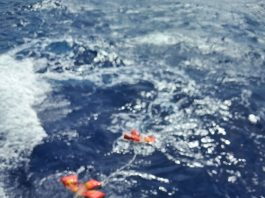 All 73 people rescued from MV Akwa, taken ashore at Vanikoro